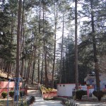 Around Binsar Mahadev Temple