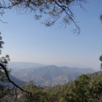 View from Binsar Wildlife Sanctuary