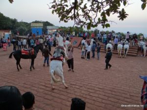 picturesque mahabaleshwar and panchgani in february